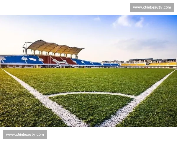 打造公平竞技环境提升体育比赛规范与裁判管理水平的研究 打造公平竞技环境提升体育比赛规范与裁判管理水平的研究