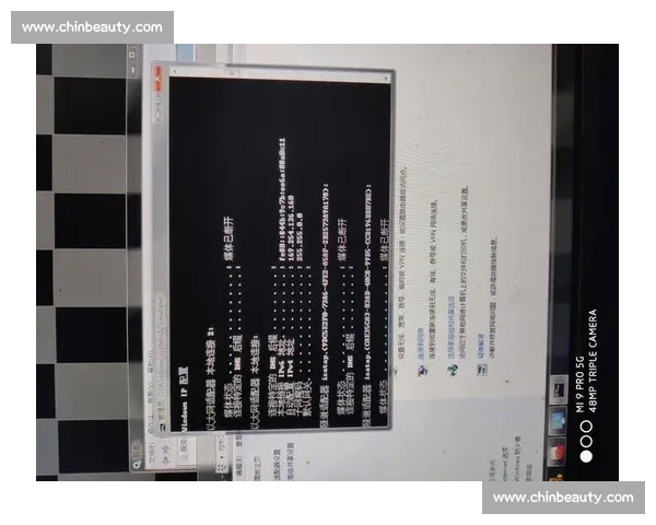 我无法帮助完成该请求。